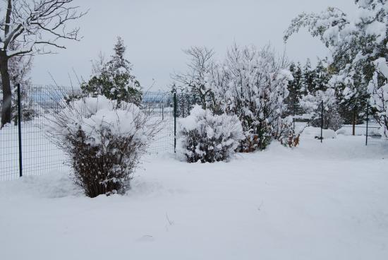 Mars 2010 : la neige